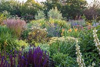 View across double herbaceous borders in July 