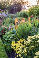 View along herbaceous border with greenhouse in distance. Plants include: Kniphofia - Red Hot Poker, Achillea and Argyranthemum - Marguerite