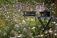 Metal table and chair amongst wild flowers in a naturalistic planting.