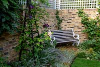 Corner of boundary wall topped with trellis, in corner a wood and wrought iron bench. Planting nearby: obelisk with Clematis 'Gipsy Queen' next to Rosa 'Claire Austin' - Rose - and Nepeta 'Walkers Low' planted at base