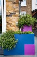 Colourful containers with planting including Hebe 'Caledonia'  and Campanula portenschlagiana 