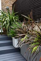 Monochrome containers planted with Carex 'Ice Dance' and Phormium 'Platt's Black'
