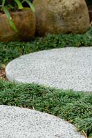 Round cast in situ concrete stepping stones, set into the ground with a planting of mini Mondo grass.