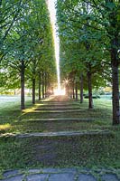 View up steps and the allee of Tilia cordata to the New Entrance. Contra jour light with sunburst. Orekhovno garden, Orekhovno, Pskov Oblast region, Western Russia. 