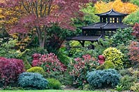 Japanese style tea house in colourful mix of acers, conifers, photinias and azaleas 