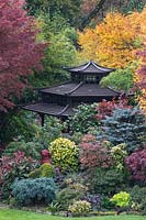 Japanese style tea house among colourful mixed acers, conifers, photinias and azaleas 