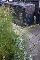Front garden in West London - contemporary grey recycling bin tidy with fennel and Verbena bonariensis.