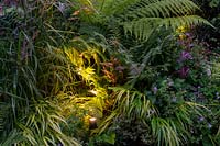 Small shade tolerant garden in London with a green theme at night with lighting. Planting includes  Dryopteris affinis, Dicksonia antarctica, Geranium nodosum, Hakonechloa macra Aureola.