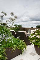 Contemporary urban roof garden with metal planter planted with Agapanthus, Heder - ivy, Sedum and Isotoma axillaris