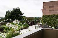 View over urban, roof garden, with containers of flowering Agapanthus and green, living wall. 