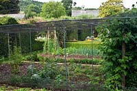 Formal vegetable garden and fruit cages 