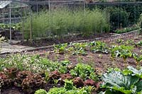 Formal vegetable garden with Asparagus and salads