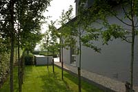 Modern garden with avenue of young trees leading to seating area.  
