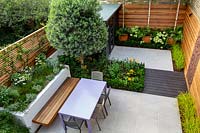 Overview of small contemporary London garden 