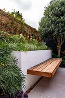 Built-in bench on raised bed in small contemporary London garden 