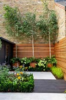 Small contemporary London garden with cedar batten trellis and black wood garden room. 