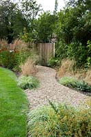 View from lawn along gravel path towards boundary fence, perennial beds on either side with ornamental grasses 
