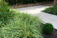 Corner of a white paved path by a brick-edged border, viewed from bed with variegated ornamental grass 
