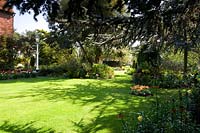 Lawn with shadows from nearby trees and beds with flowering bulbs 