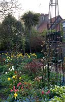 View along mixed border, with flowering Tulipa - Tulip, Narcissus - Daffodil, shrubs and line of tall metal obelisks 