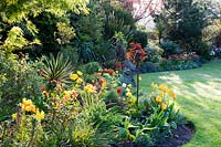 Curved borders in lawn, planted with perennials, trees and Tulipa - Tulip
