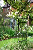 View through metal gazebo covered with flowering Rosa 'City of York' - Climbing Rose - to curved flower bed and house 