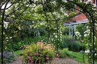 Under metal gazebo covered with flowering Rosa 'City of York' - Climbing Rose - wit view of curved flowerbeds and house