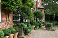 View along house with containers of clipped topiary 