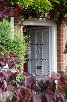 View past the burgundy leaves of Cercis canadensis to front door 
