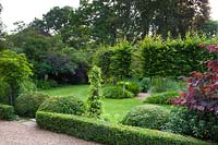 Topiary in formal garden with views of lawn and circle of pleached Carpinus betulus - Hornbeam