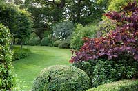 Wide, curved borders with topiary, shrubs and pleached trees separated by lawn