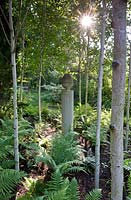 Young Betula - Birch - trees underplanted with ferns, surrounding modern sculpture on a plinth