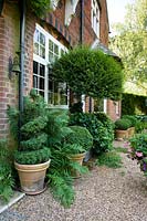 View along house with containers of clipped topiary on gravel 