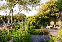 Olea europaea - Olive - tree surrounded by flower beds planted with: Allium 'Firmament', Valeriana officinalis, Sedum, Linaria purpurea 'Canon Went'. Deck with sun loungers overlooking small pond
