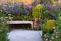 Wooden bench, clipped Buus - Box - spirals and informal planting of: Nepeta 'Six Hills Giant', Valeriana officinalis, Pimpinella major 'Rosea', Linaria purpurea 'Canon Went' in beds by drystone wall