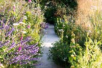A path leads between densely-planted borders to topiary. Plants include: Stipa gigantea, Valeriana officinalis, Salvia, Digitalis - Foxglove and Phlomis russelliana 
