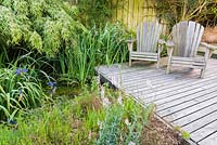 Decking beside a small pond with blue irises, bamboo and Linaria purpurea 'Canon Went' at Sea View, Cornwall, UK in June.
