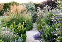 A path in the ornamental garden framed by clipped box surrounded by Stipa gigantea, Valeriana officinalis, geraniums, Stachys byzantina 'Big Ears', Nepeta 'Six Hills Giant' and Phlomis russeliana at Sea View, Cornwall, UK in June.