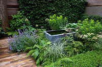 Still water trough surrounded by ornamental grasses, ferns and flowering perennials, wooden decking and wall  