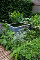 Raised pool is surrounded by grasses, ferns and flowering perennials in contemporary garden. 
