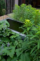 Raised pool is surrounded by grasses, ferns and flowering perennials  in contemporary garden. 