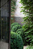 View through gateway to mounds of clipped Buxus in contemporary garden. 