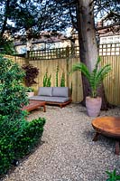 Lower gravel covered patio area in West London garden, with sofas and fire pit - planting includes Prunus lusitancia Angustifolia, Euphorbia wallichii, Phoenix palm in terracotta pot, Acer palmatum purpurea in container by sofa.