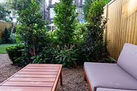 Lower gravel covered patio area in West London garden, with sofas and wood table - planting includes Prunus lusitancia Angustifolia, Persicaria Orange Field, Carpinus betulus Frans Fontaine.