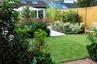 View towards house in West London garden with artificial lawn - planting includes Persicaria Orange Field, Euonymus Jean Hughes, Monarda Fire Ball, Cornus alba Sibirica Variegata.