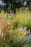 Naturalistic border with late-summer flowering perennials. 