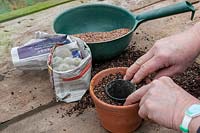 Preparing soil to plant a cactus