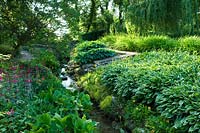 Stream running through bog garden, with naturalised planting of Hosta and Primula. 
