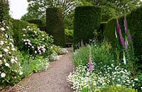 Double borders separated by gravel path lead to Taxus - Yew - topiary columns. Plants in borders include: Rosa - Rose - and Digitalis - Foxglove  