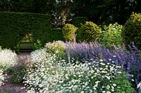 View over flowering, herbaceous border